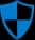 Shield Icon